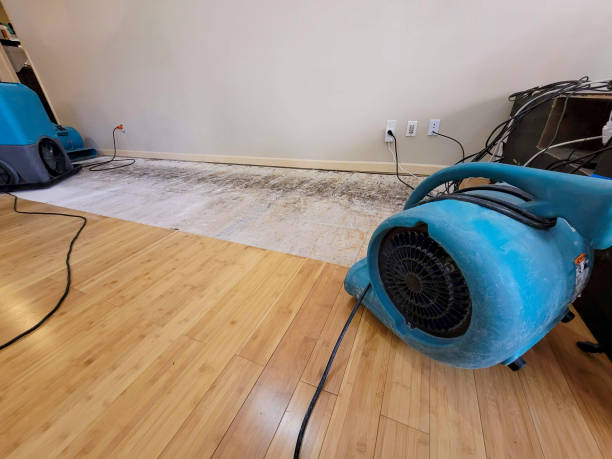 Professional Burst Pipe Water Damage technician working in Shannon, MS
